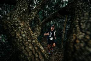 BIB: 
                            <button type="button" onclick="openModal(25679094)" class="btn btn-primary btn-sm float-right btn-popup" data-toggle="modal" data-target=".modal-high-quality">
                        <i class="fas fa-shopping-cart"></i> Add to Cart
                    </button>
                                            <button type="button" onclick="isThisMe(25679094, true)" class="btn btn-success btn-sm float-right btn-popup btn-isme hidden" data-toggle="tooltip" data-placement="bottom" title="นี่คือรูปของคุณใช่ไหม คลิกที่นี่เพื่อเอาเข้าอัลบั้ม">
                        <i class="fas fa-plus"></i> Add to album
                    </button>
                    <button type="button" onclick="isThisMe(25679094, false)" class="btn btn-warning btn-sm float-right btn-popup btn-isnotme hidden">
                        <i class="fas fa-ban"></i> Remove from album
                    </button>